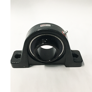 Mounted Bearing