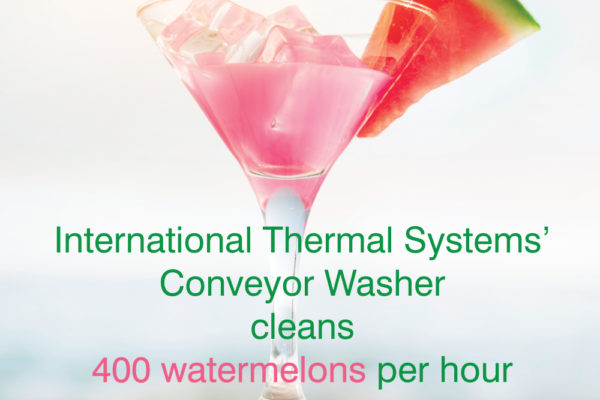 Industrial Conveyor Washer